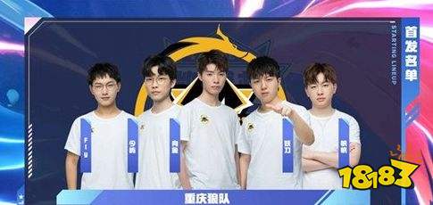 楚导
